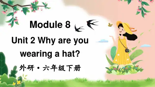 外研版三起英语六年级下册Module 8 Unit2Why are youwearingahat课件