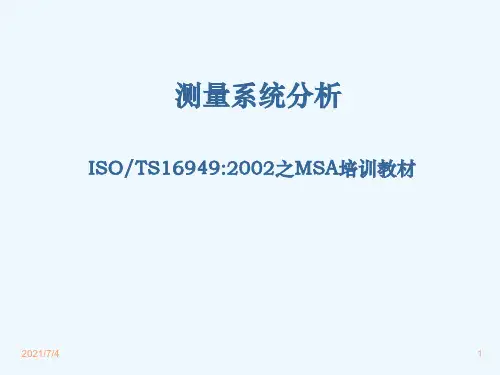MSA培训教材(PPT 85页)