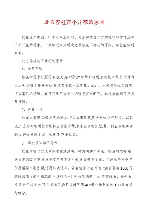 北方养桂花不开花的原因
