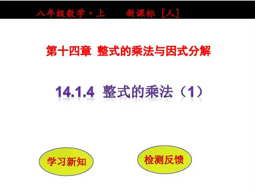 人教数学八年级上册课件：第十四章  整式的乘法与因式分解 14.1.4整式的乘法(第1课时) (2)