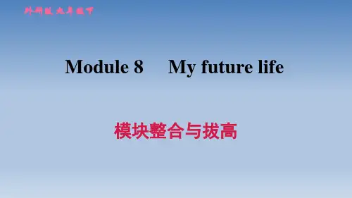 2020春外研版九年级英语下册 Module 8 习题 模块整合与拔高