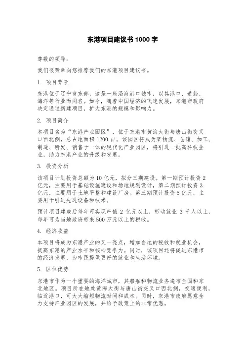 东港项目建议书
