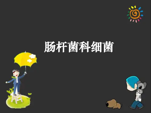 肠杆菌科细菌ppt课件