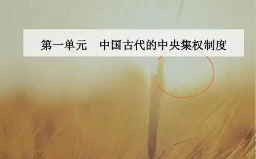 2017-2018学年高中历史必修一课件：第一单元第1课夏商