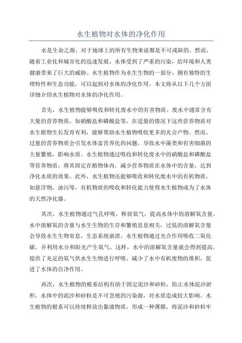 水生植物对水体的净化作用