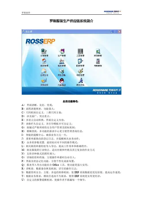 罗斯ERP系统简介(内)