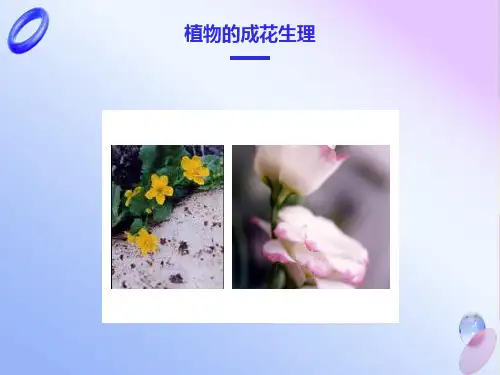 植物的成花生理