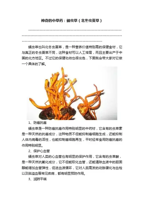 神奇的中草药：蛹虫草（北冬虫夏草）