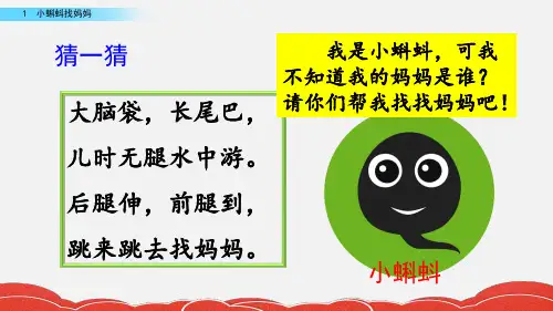 二年级上册语文课件小蝌蚪找妈妈(人教部编版)