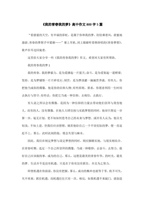 《我的青春我的梦》高中作文800字5篇
