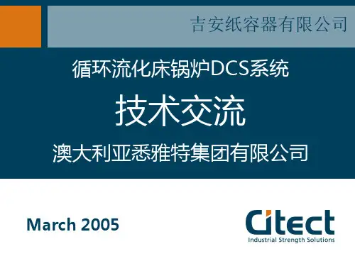 循环流化床锅炉DCS系统.ppt