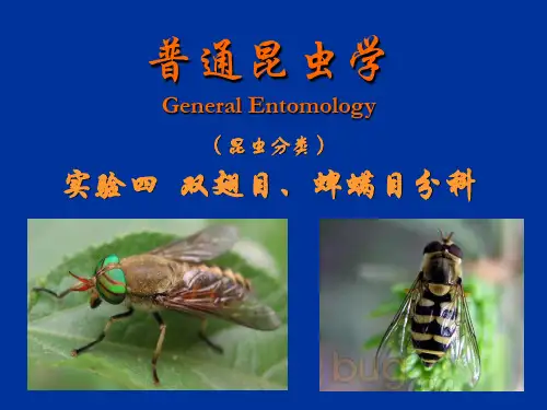 普通昆虫学-昆虫分类-双翅目、蜱螨目分科知识分享