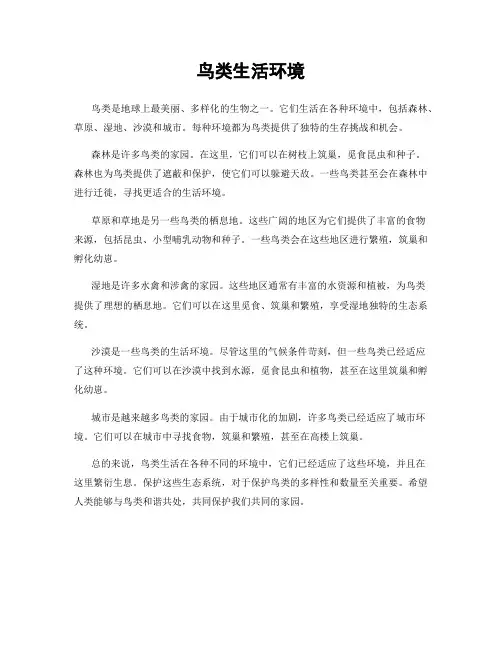 鸟类生活环境