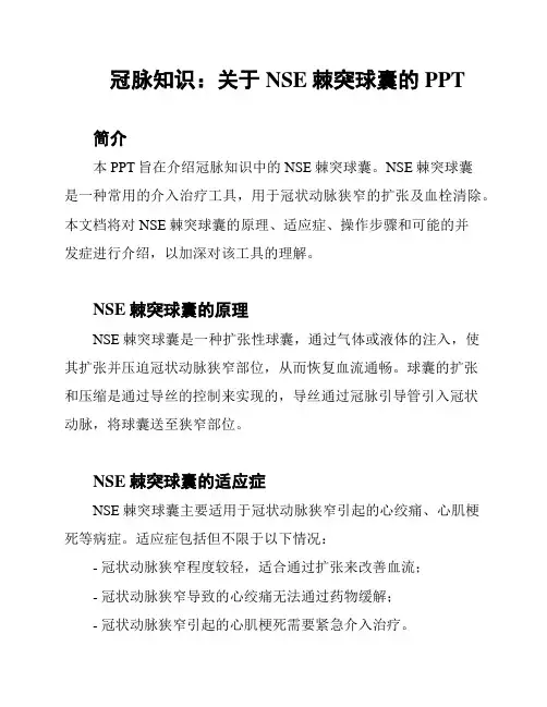 冠脉知识：关于NSE棘突球囊的PPT