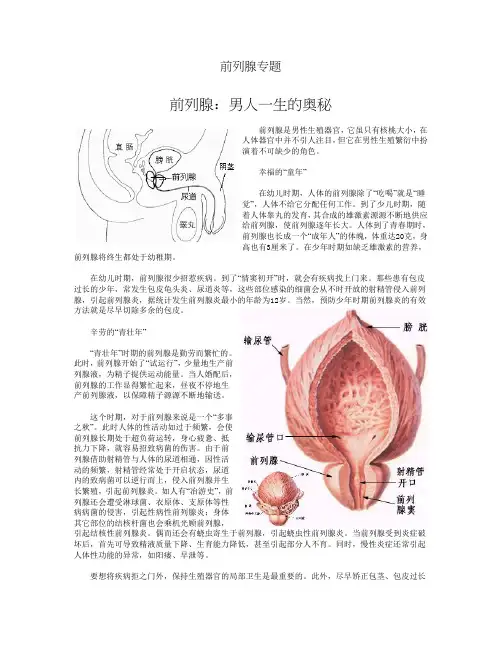 前列腺_男人一生的奥秘(1)