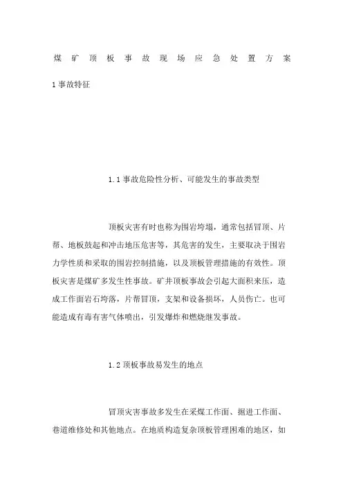 煤矿顶板事故现场应急处置方案