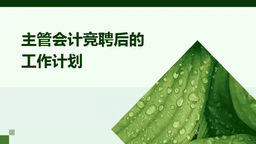 主管会计竞聘后的工作计划PPT