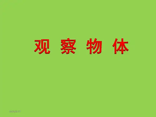 四年级上册数学课件-3.1 观察物体丨苏教版 (共13张PPT) (1)