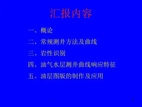 常规测井资料解释评价PPT文档资料