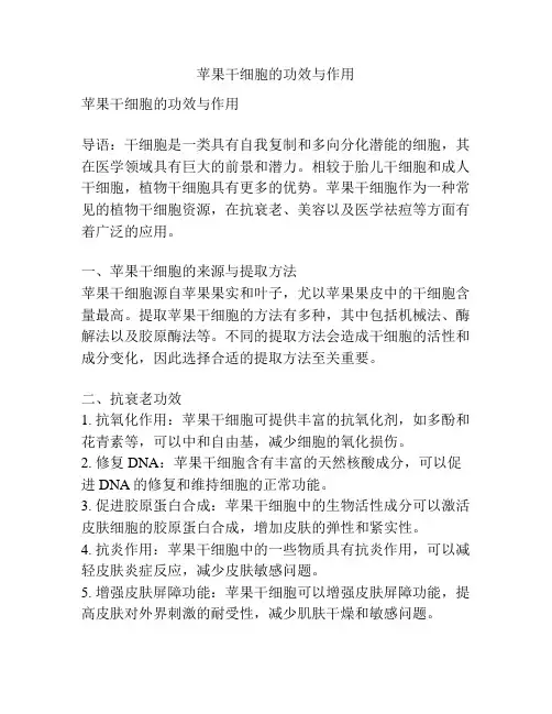 苹果干细胞的功效与作用