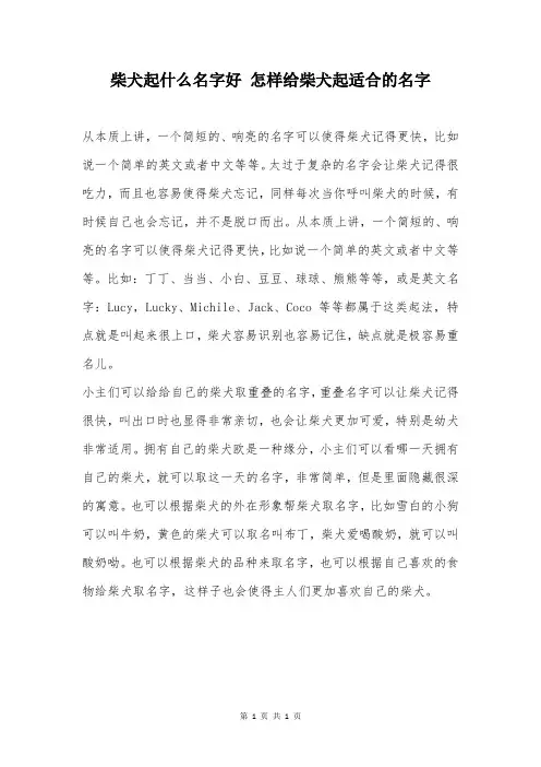 柴犬起什么名字好 怎样给柴犬起适合的名字