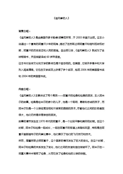 《追风筝的人》简介