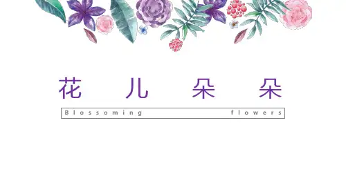 二年级美术下册课件-第6课 花儿朵朵(一)2-苏少版