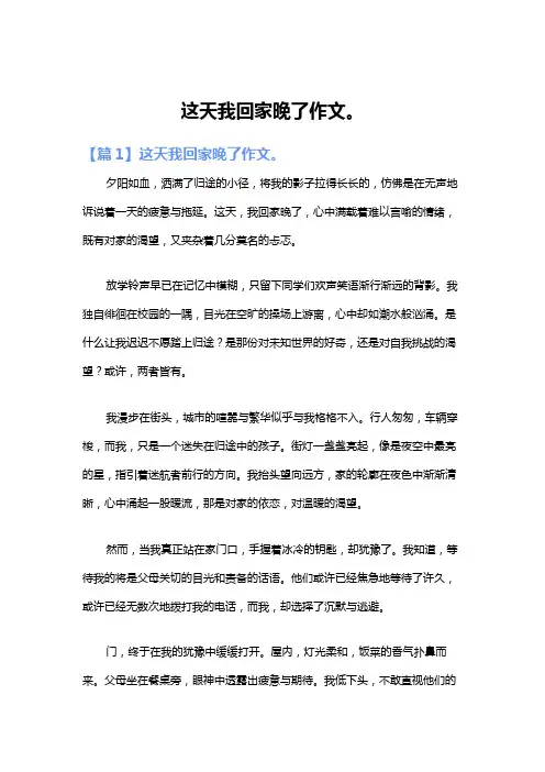 这天我回家晚了作文。