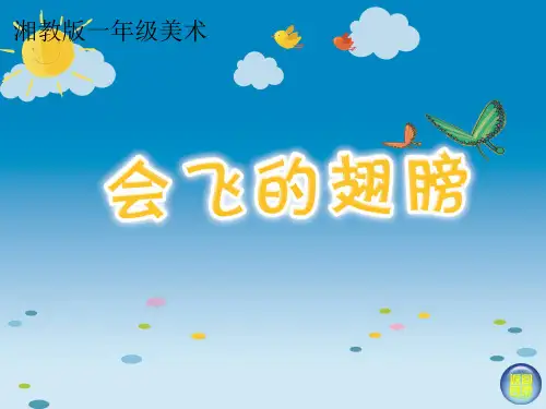 湘教版一年级美术下册会飞的翅膀ppt课件