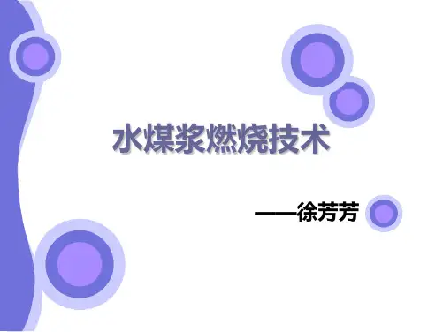 水煤浆燃烧技术1