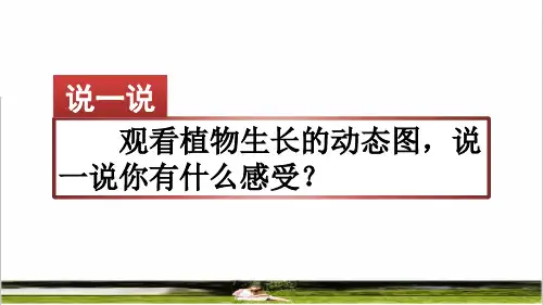 部编版四年级语文上册第三单元《习作：写观察日记》课件