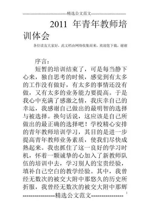 2011年青年教师培训体会