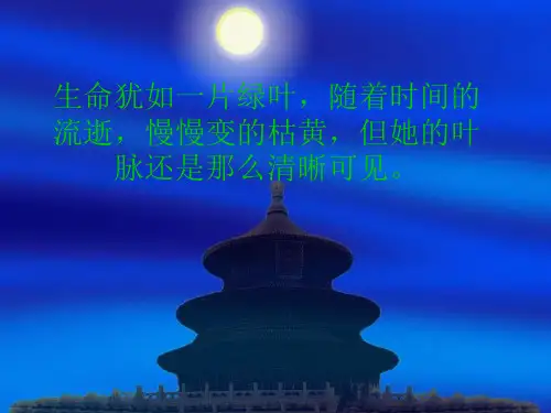十佳大学生答辩评优