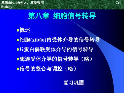 第八章 细胞信号转导
