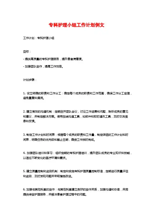 专科护理小组工作计划例文