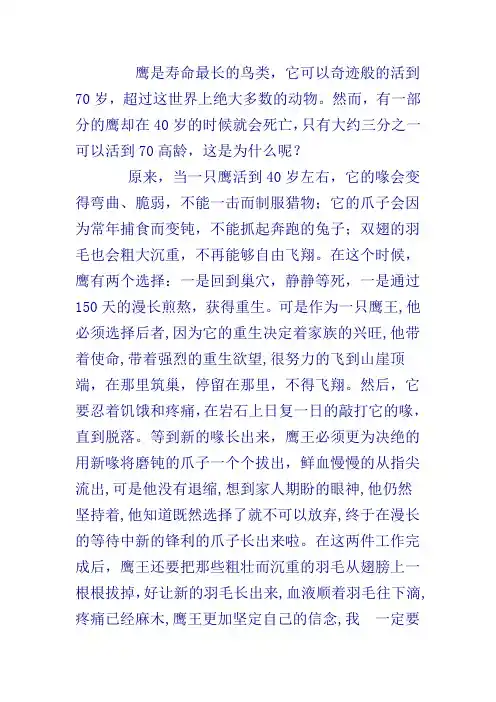 鹰王重生的故事