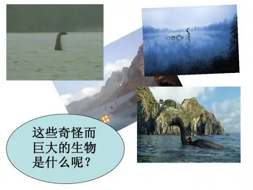 水怪