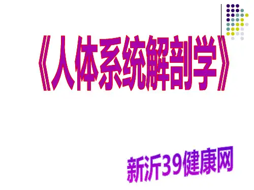 人体解剖学课件