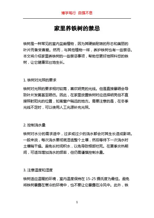 家里养铁树的禁忌