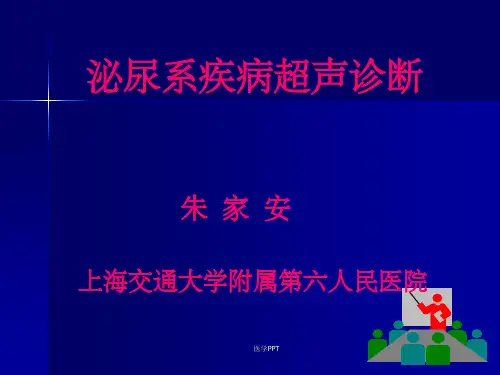 泌尿系疾病超声诊断