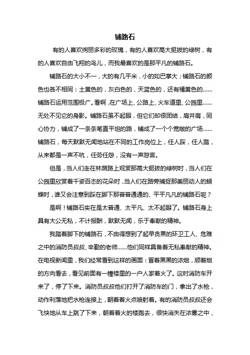 五年级作文：铺路石作文800字