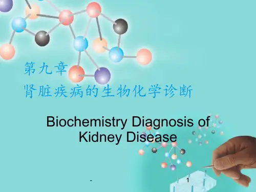 常见肾脏疾病的生物化学诊断ppt课件