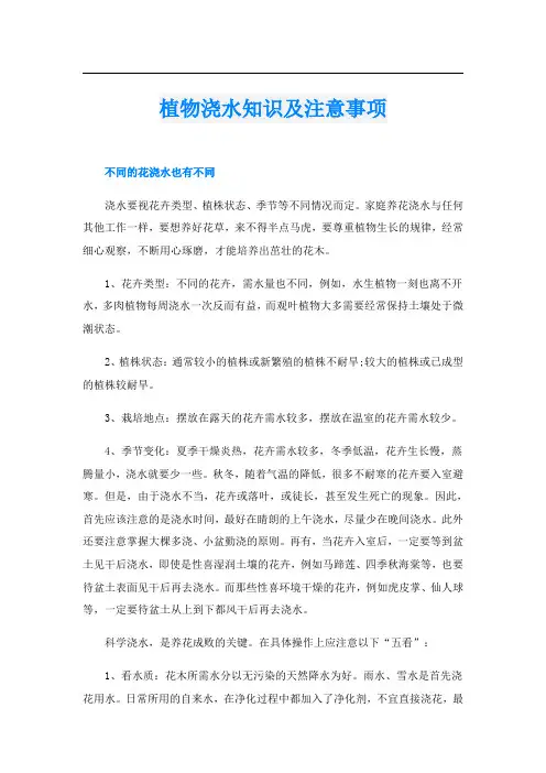 植物浇水知识及注意事项