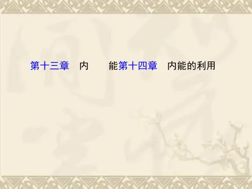 九年级物理全册 第13-14章课件 (新版)新人教版