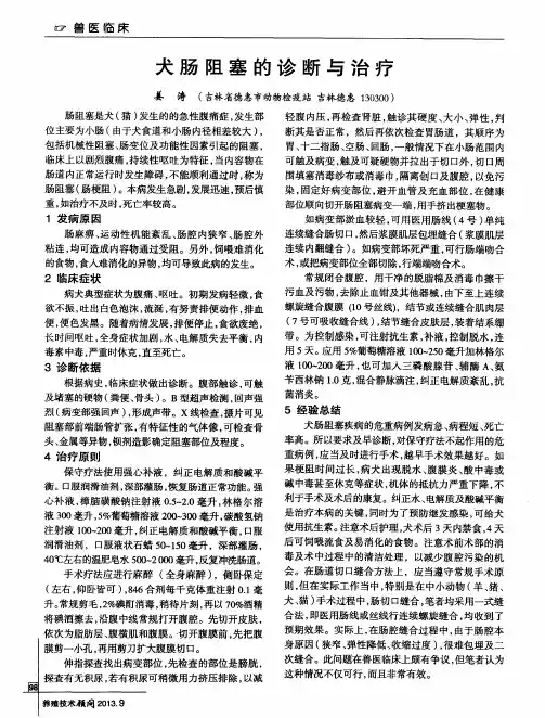 犬肠阻塞的诊断与治疗