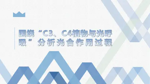 2023届高三生物二轮复习课件  微专题  (三) 围绕“C3、C4植物与光呼吸”分析光合作用过程
