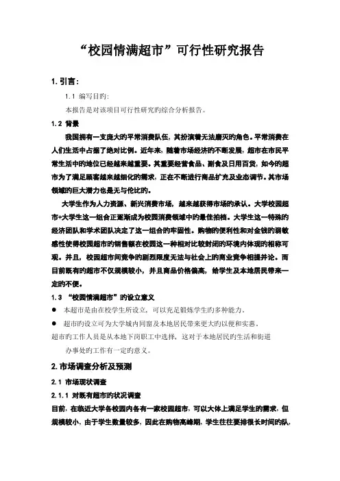 可行性报告
