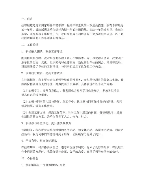 挂职期间工作及心得体会
