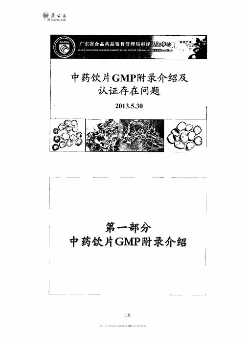 中药饮片GMP附录修订介绍-广东省局吴生齐