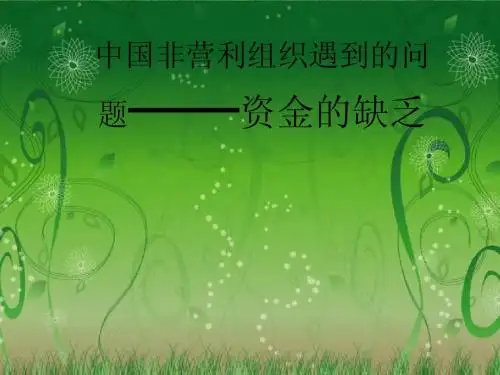 中国非营利组织遇到的问题